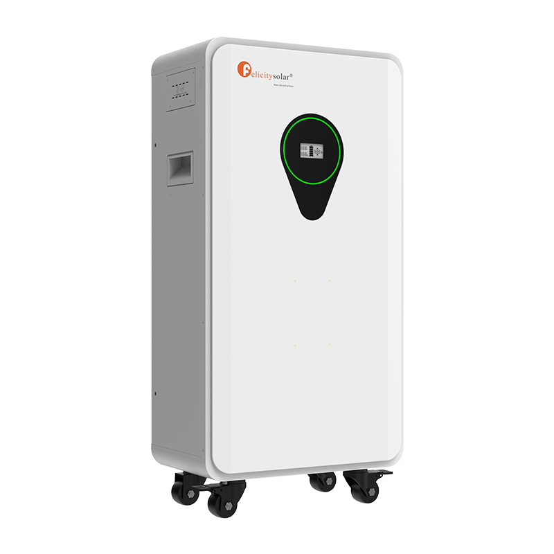 Felicity Solar FLA48314