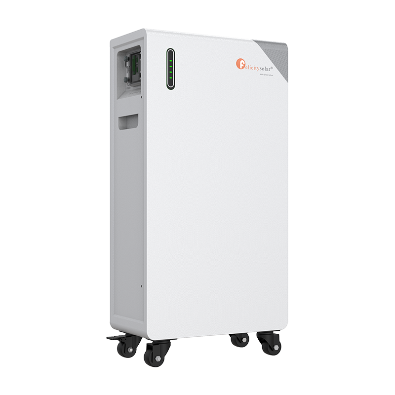 Bateria Felicity FLB48314