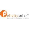Felicity